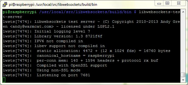 RaspberryPi - Software - libwebsockets - Server testen - blog.simtronyx.de